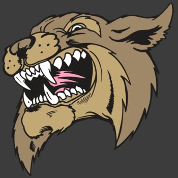 AR5 BOBCAT 09 RQC Thumbnail