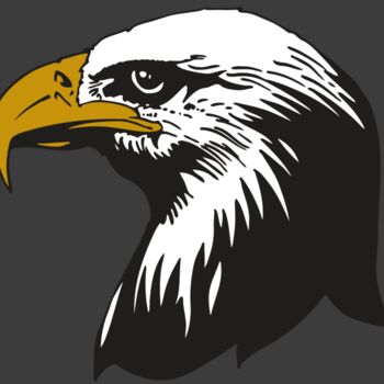 AR EAGLE 87 RC Thumbnail