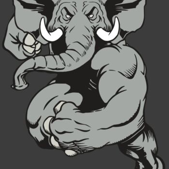 AR ELEPH 18 RC Thumbnail