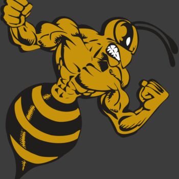 BAW BEE 01 RC Thumbnail