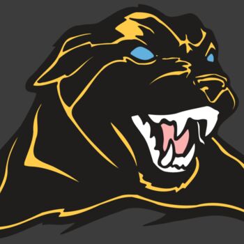 AR COUGAR 42 RC Thumbnail