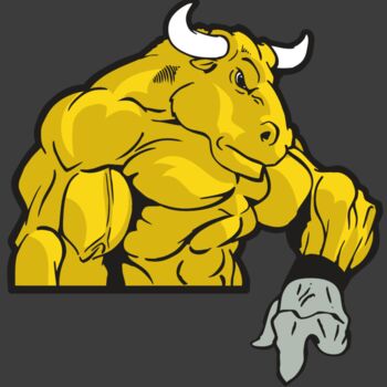 AR BULL 13 RC Thumbnail