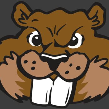 AR BEAVER 10 RC Thumbnail