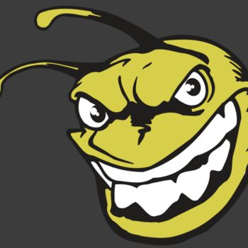 AR5 BEE 08 RQC Thumbnail