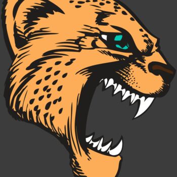 BAW CHEETAH 11 RC Thumbnail