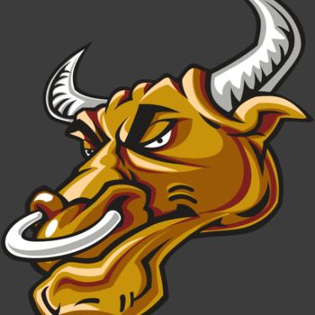 BULL HD0502 RQC Thumbnail