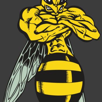 BAW BEE 16 RC Thumbnail