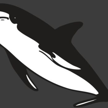 AR DOLPIN 13 RC Thumbnail