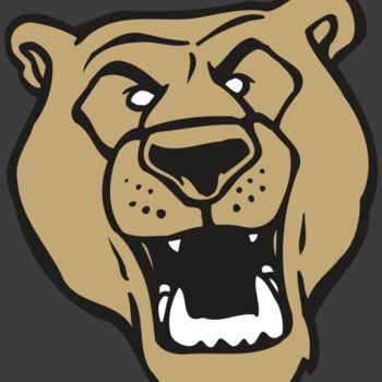 AR BEAR 13 RC Thumbnail