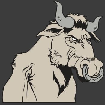 AR5 BULL 08 RQC Thumbnail