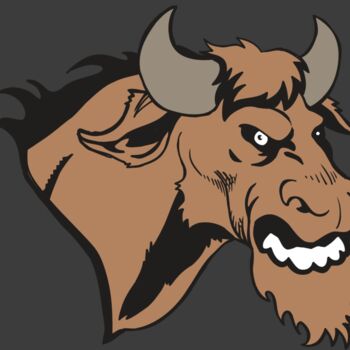 AR5 BULL 09 RQC Thumbnail