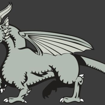 BAW DRAGON 20 RC Thumbnail