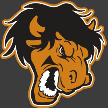 AR BUFF 25 RC Thumbnail