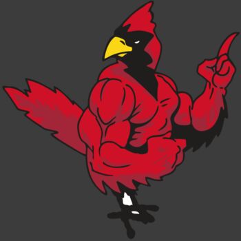 AR CARDINAL 27 RC Thumbnail