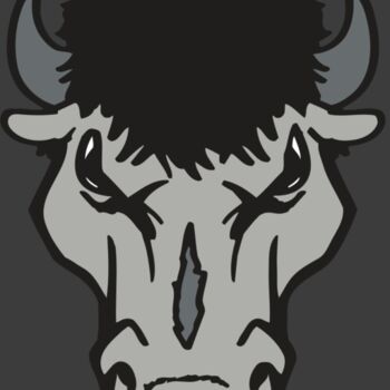 AR BUFFALO 15 RC Thumbnail