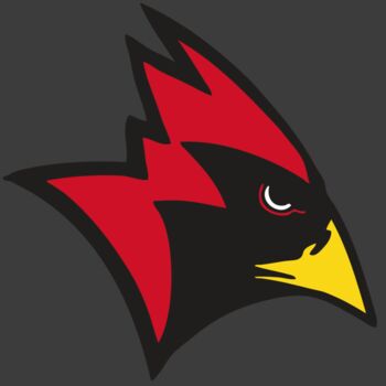 AR CARDINAL 23 RC Thumbnail