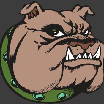 BAW BULLDOG 14 RC Thumbnail