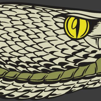 BAW SNAKE 03 RC Thumbnail