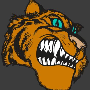 BAW TIGER 11 RC Thumbnail