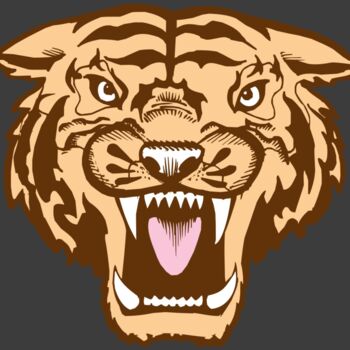 BAW TIGER 05 RC Thumbnail