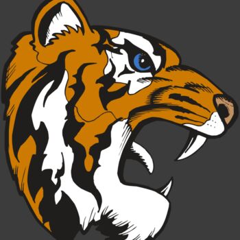 BAW TIGER 08 RC Thumbnail