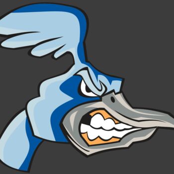 ROADRUNNER HD0503 RQC Thumbnail