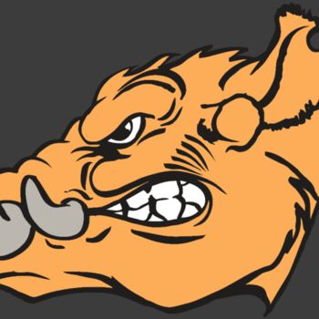 AR RAZORBACK 27 RC Thumbnail