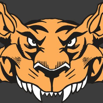 AR5 Tiger 07 RQC Thumbnail