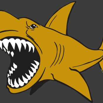 AR  SHARK 21 RC Thumbnail