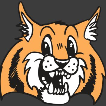 AR WILDCAT 13 RC Thumbnail