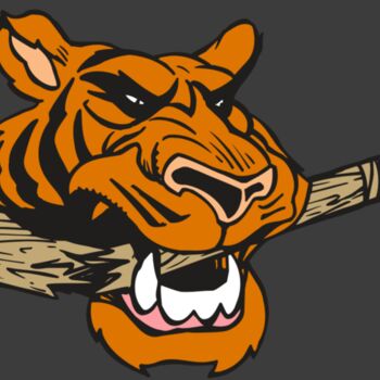 AR5 Tiger 11 RQC Thumbnail