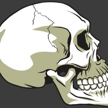 AR24 SKULL 12 RQC Thumbnail