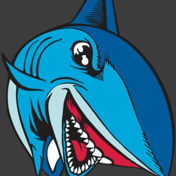 BAW SHARK 02 RC Thumbnail