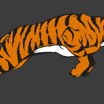 AR TIGER 79 RC Thumbnail