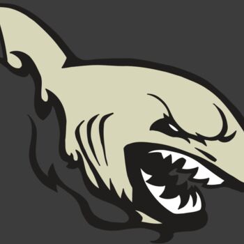 AR5 Shark 08 RQC Thumbnail