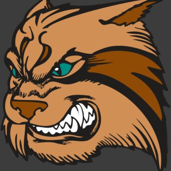 BAW WILDCAT 05 RC Thumbnail