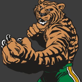 AR TIGER 64 RC Thumbnail