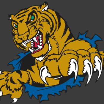 AR TIGER 69 RC Thumbnail