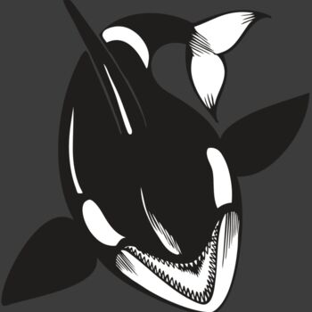 BAW KLRWHALE 01 RC Thumbnail