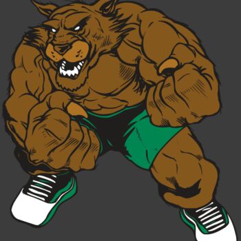 AR WILDCAT 45 RC Thumbnail