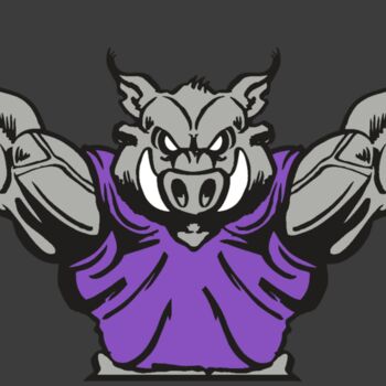 AR RAZORBACK 10 RC Thumbnail