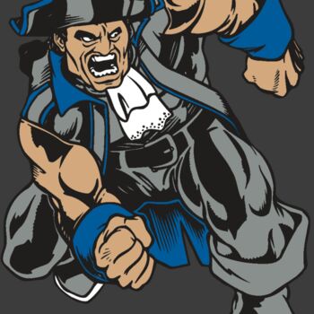 AR PATRIOT 11 RC Thumbnail