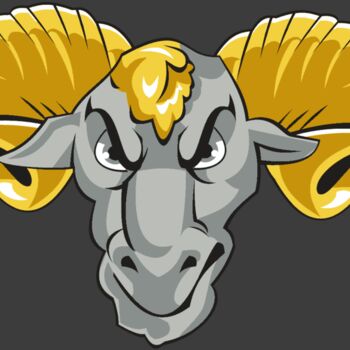 RAM HD0502 RQC Thumbnail