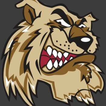 WILDCAT HD0502 RQC Thumbnail