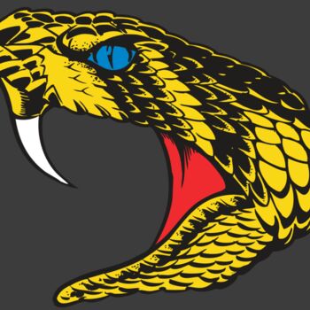 BAW SNAKE 06 RC Thumbnail