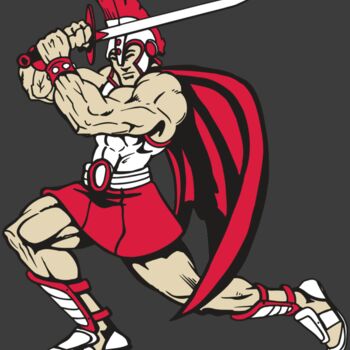 AR PALADIN 22 RC Thumbnail