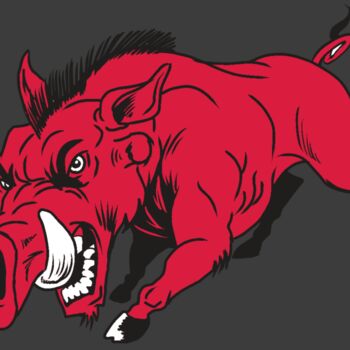 AR22 RAZORBACK 01 RQC Thumbnail