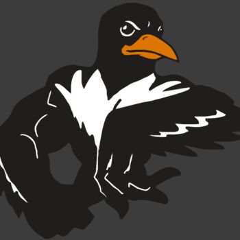 AR ORIOLE 22 RC Thumbnail