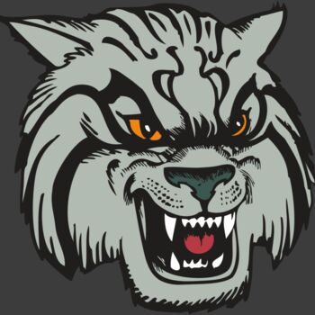 BAW WILDCAT 03 RC Thumbnail