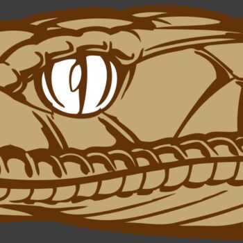 BAW SNAKE 12 RC Thumbnail